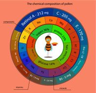 The chemical composition of pollen
