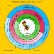 The chemical composition of bee venom