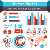 Human organs infographic N2