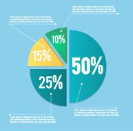 Business Pie Chart N21