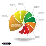 Infographics options template N82