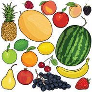 vector set of 18 cartoon fruits