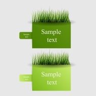 Green banner N2