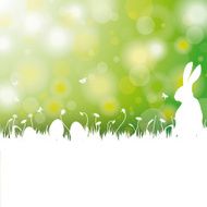 Easter Card Background White Grass Rabbit N2