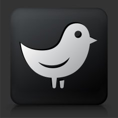 Black Square Button with Bird N2