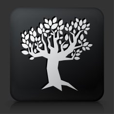 Black Square Button with Tree Icon N33