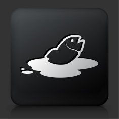 Black Square Button with Fish in Oil Leak Icon