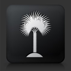 Black Square Button with Palm Tree Icon N20