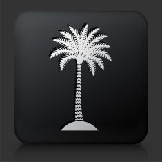 Black Square Button with Palm Tree Icon N21