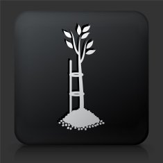 Black Square Button with Tree Icon N34