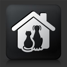 Black Square Button with Cat and Dog
