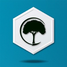 White 3D Hexagon Icon On a Blue Background With Tree N3
