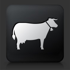 Black Square Button with Cow Icon