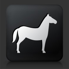 Black Square Button with Horse Icon N4