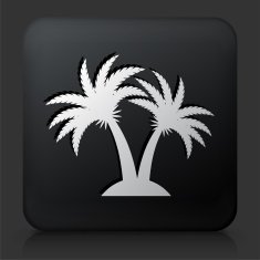 Black Square Button with Palm Tree Icon N22