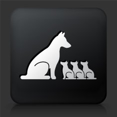 Black Square Button with Dog and Puppies