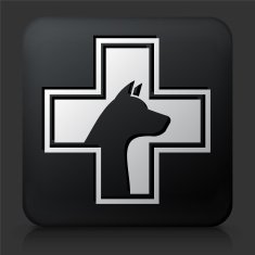 Black Square Button with Pet Health