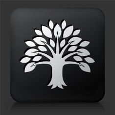 Black Square Button with Tree Icon N36