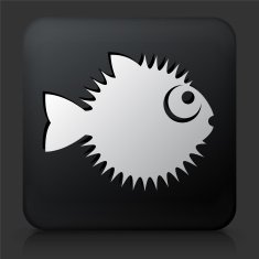 Black Square Button with Blow Fish