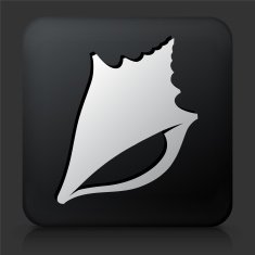 Black Square Button with Conch Shell