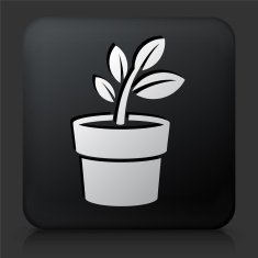 Black Square Button with Plants Icon N5