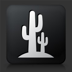 Black Square Button with Cactus Icon N2