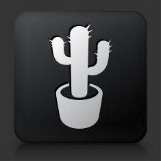 Black Square Button with Cactus Plant N2