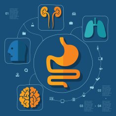 Medical flat infographic N111