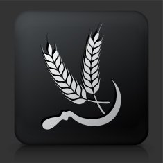 Black Square Button with Wheat Icon N3