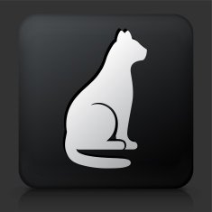 Black Square Button with Cat Sitting Icon