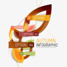 Autumn option infographic banner minimal design N3
