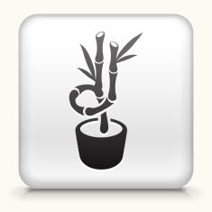 White Square Button with Bamboo Tree