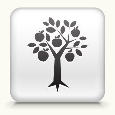 Square Button with Apple Tree interface icon