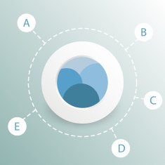 colorful round diagram infographics N20
