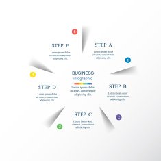 Vector infographic N393