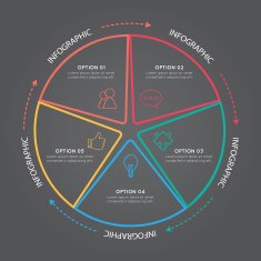 Star Circle Infographic N3