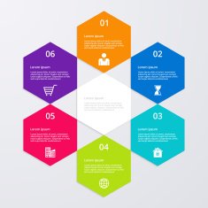 Vector illustration infographics six options N20