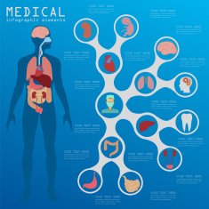 Medical and healthcare infographic N48