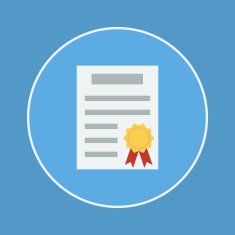 Certificate icon N33