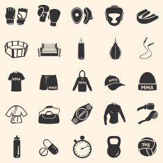 Vector Set of Mix Martial Arts Icons N9