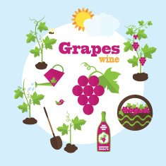 Vector garden illustration in flat style N8