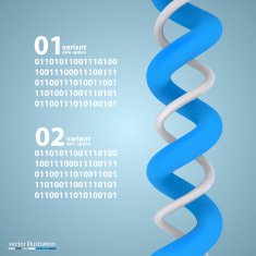 Spiral infographic elements with numbers N3