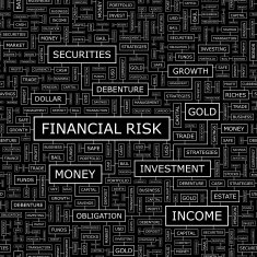 FINANCIAL RISK