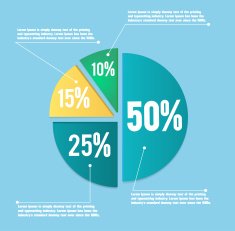 Business Pie Chart N21