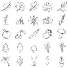 Vector Set of Sketch Plants Icons N2