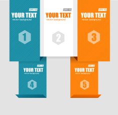 Vector text boxes infographics options banner N12