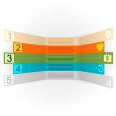 infographics options banner with icons vector