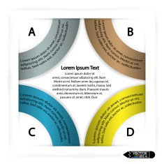 Modern circle infographics options banner N11