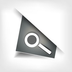 Blank for text with infographic elements N13