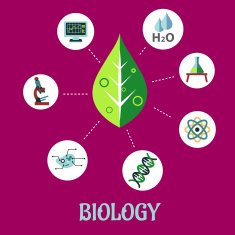 Biology flat concept design N2